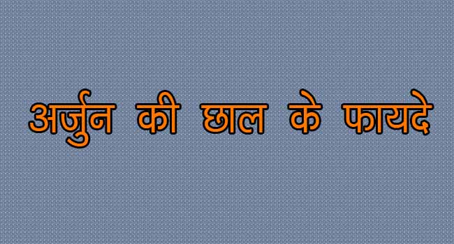  Arjun Ki Chaal Benefits In Hindi