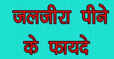 विस्तार में जाने जलजीरा पीने के फायदे आपकी सेहत और स्वास्थ्य के लिए, jaljeera peene ke fayde and health benefits in hindi.