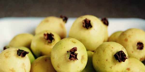 अमरूद खाने के नुकसान Guava side effects in hindi 