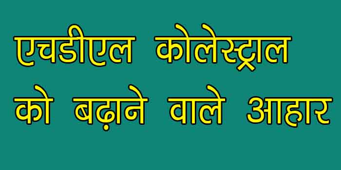 एचडीएल कोलेस्ट्रॉल को बढ़ाने वाले आहार जाने विस्तार में ताकि आप रहें स्वस्थ और तंदुरुस्त हमेशा, hdl colesterol increasing diet tips in hindi