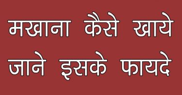 मखाना कैसे खाये जिसमें फाइबर